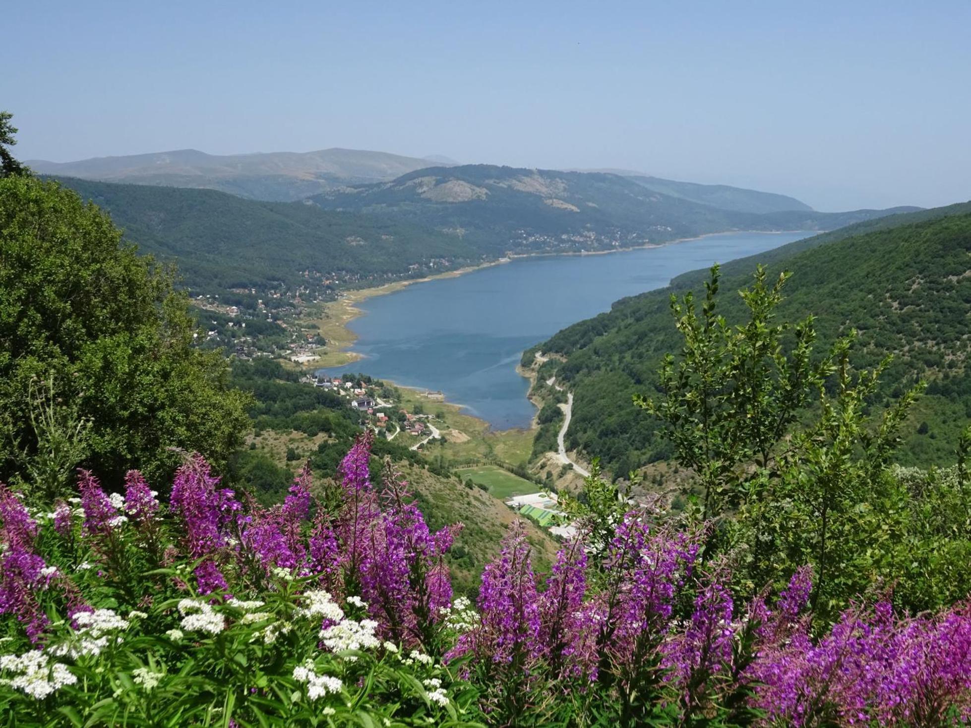 Forest View Apartment Mavrovo Dış mekan fotoğraf