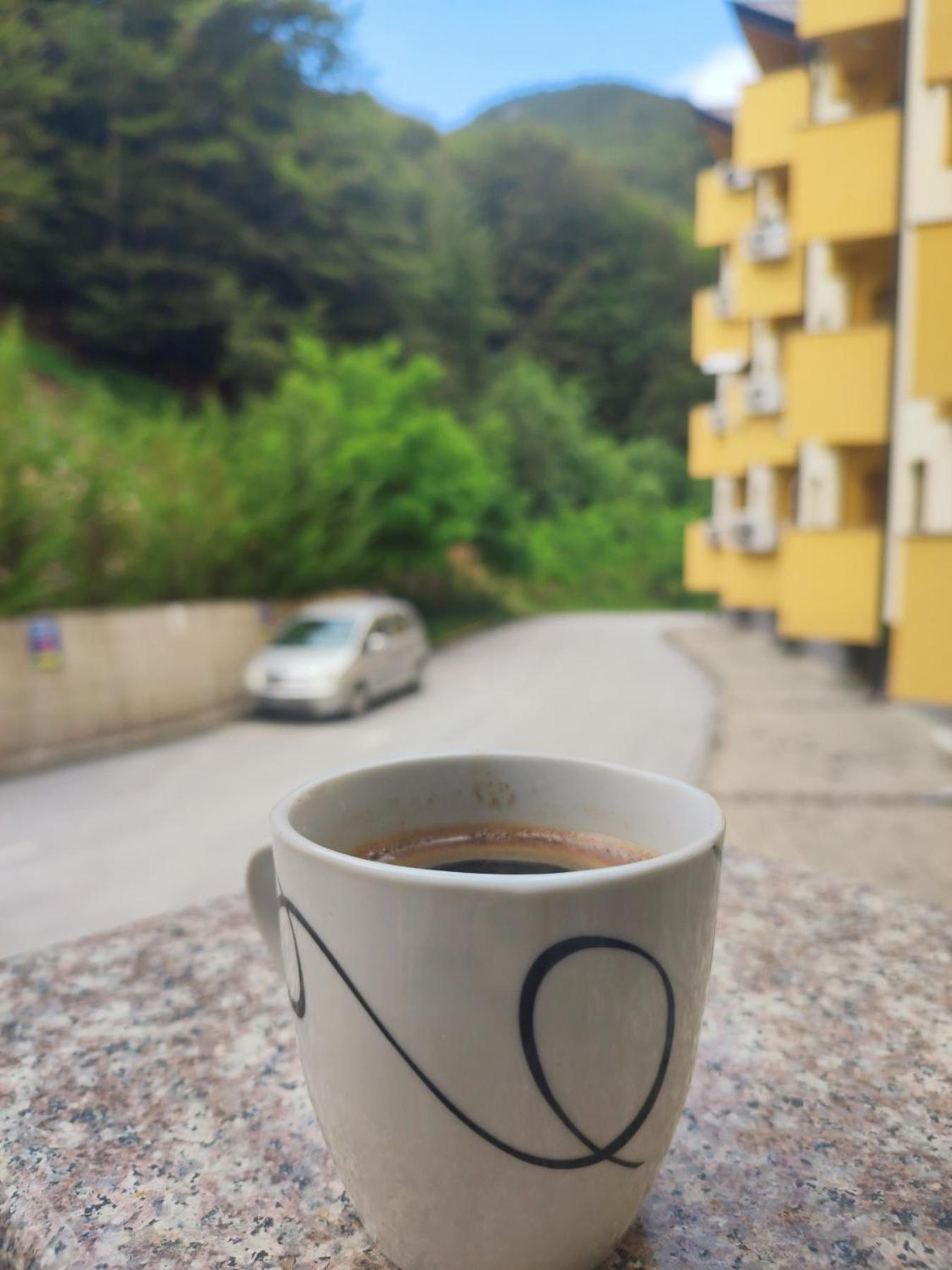 Forest View Apartment Mavrovo Dış mekan fotoğraf