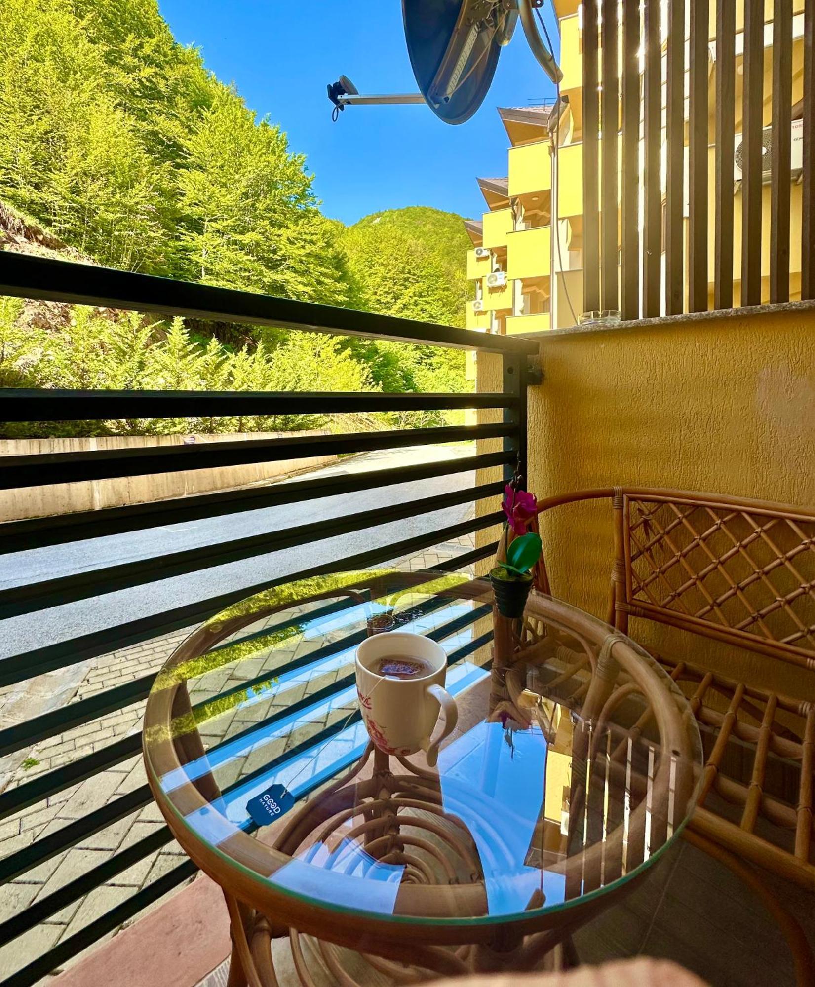 Forest View Apartment Mavrovo Dış mekan fotoğraf